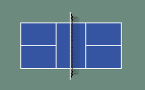 Pickleball versus Badminton